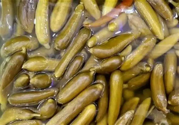 قیمت خیارشور طعم دار + خرید باور نکردنی
